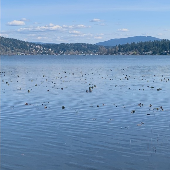 Meet your Posher, Toni - Picture 1 of 1